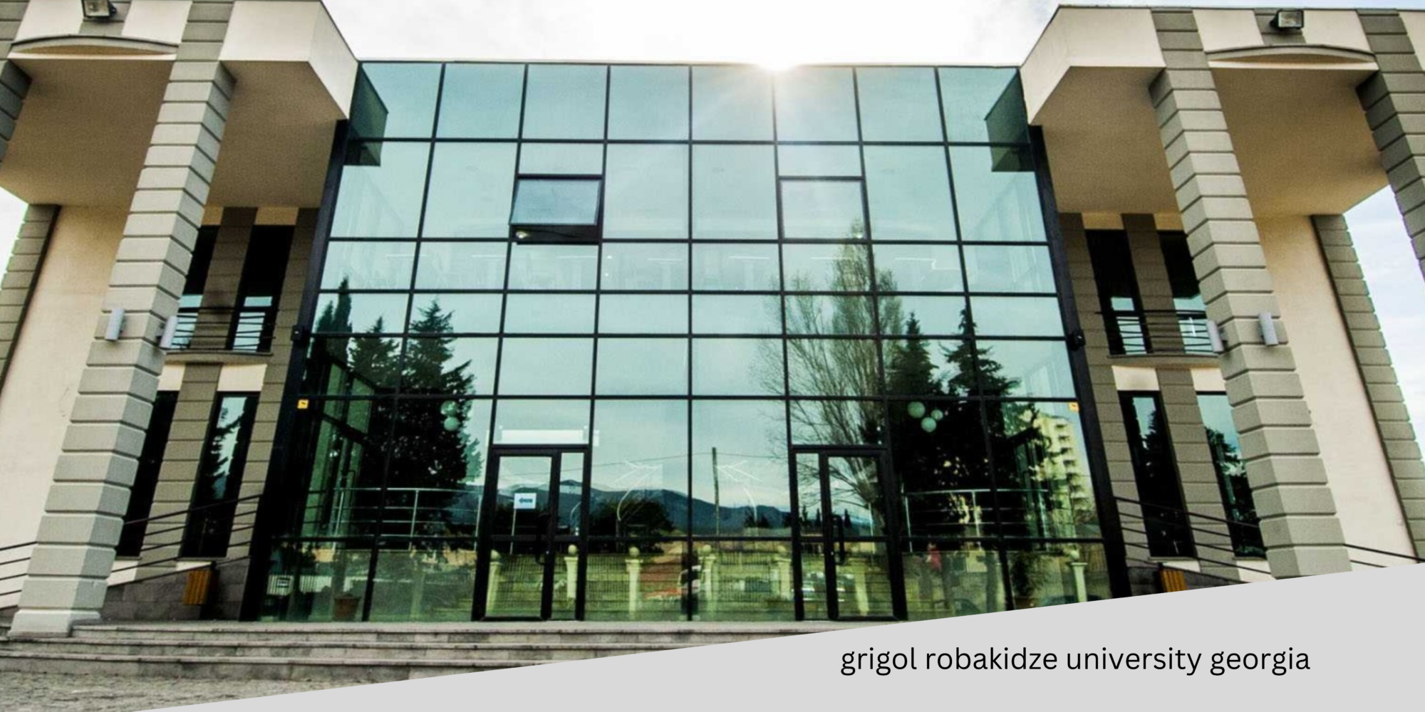 grigol robakidze university georgia